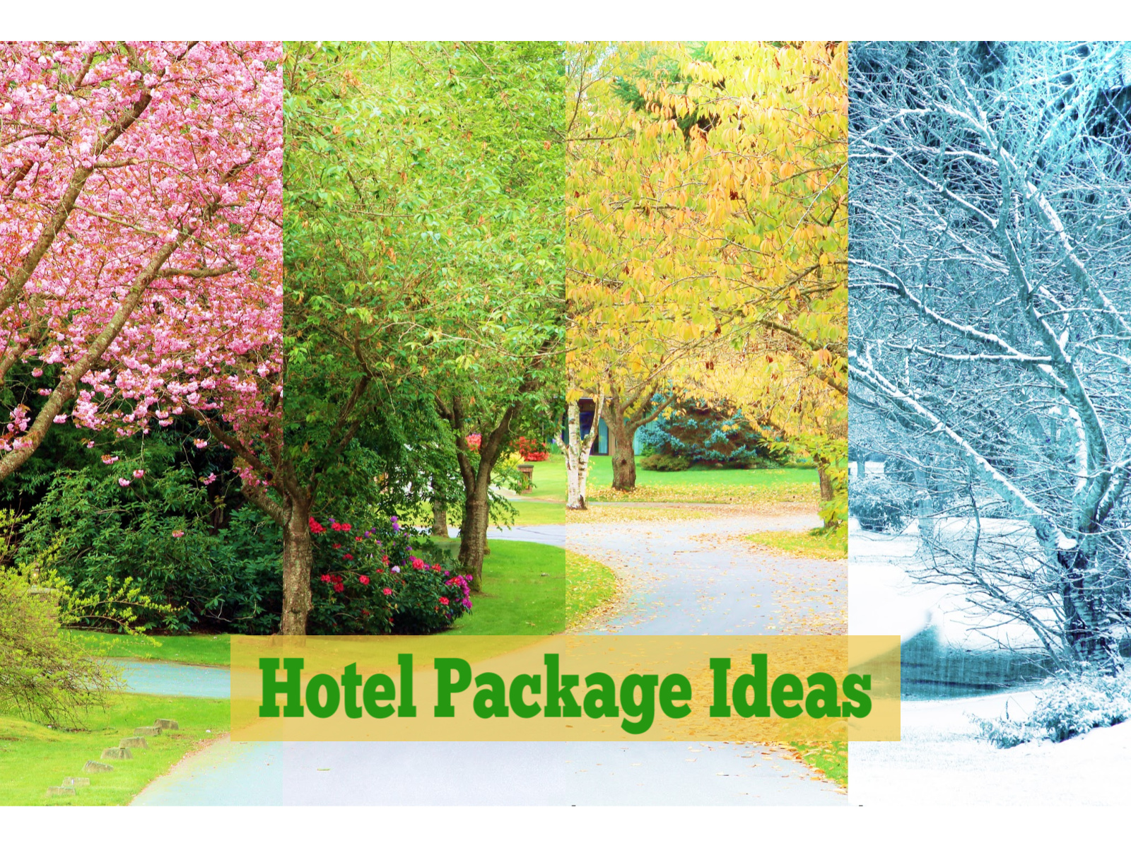 Hotel Packages: Who, What, When, Why, Where